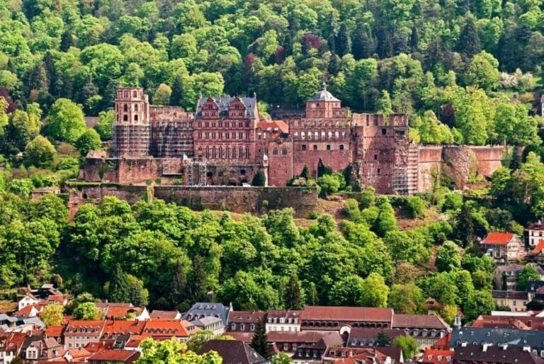 From Frankfurt: Heidelberg, Rüdesheim & Rhine Valley Cruise - What to Expect from This Tour