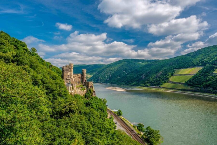 From Frankfurt: Rhine Valley Day Trip - Who Would Love This Tour?
