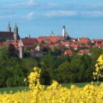 From Frankfurt: Rothenburg ob der Tauber Wine Tour - Whats Worth Noting
