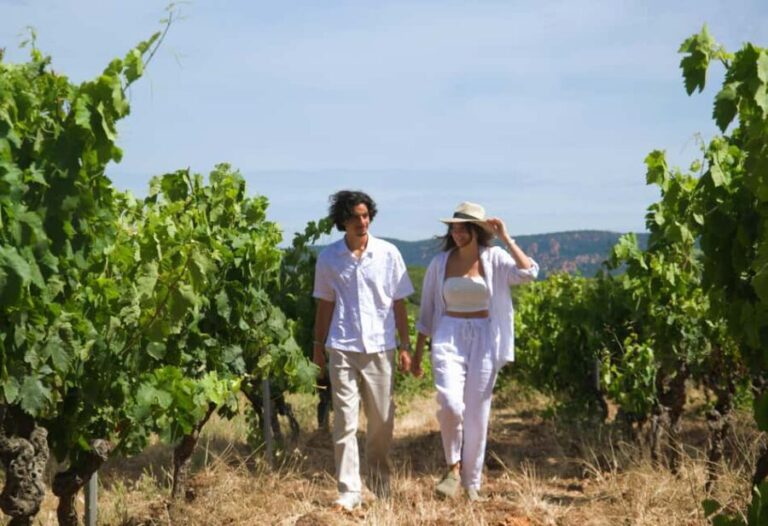 From Fréjus: Van tour to the heart of the Provençal vineyards - What Reviewers Say