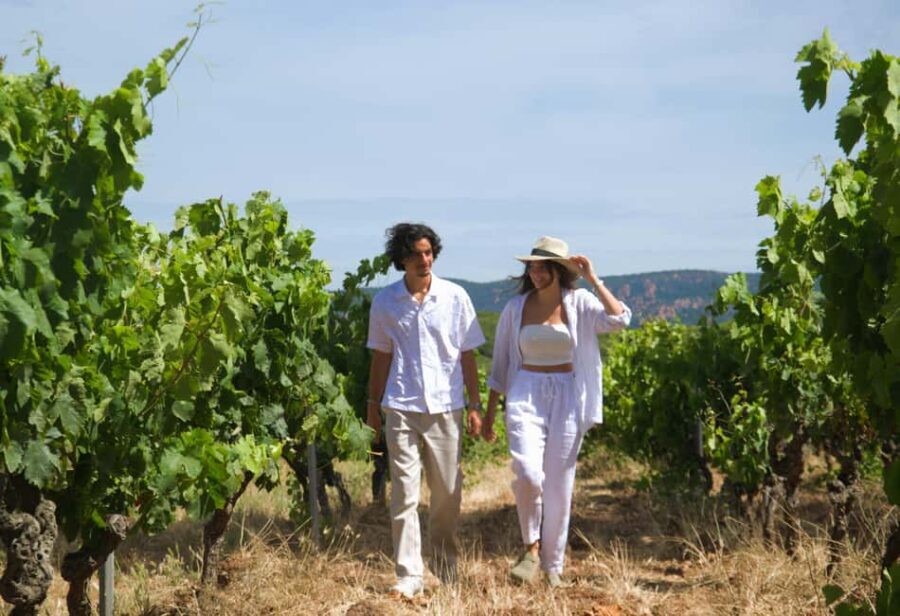 From Fréjus: Van tour to the heart of the Provençal vineyards - What Reviewers Say