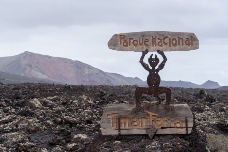 From Fuerteventura: Lanzarote Volcano and Wine Region Tour - Practical Aspects of the Tour
