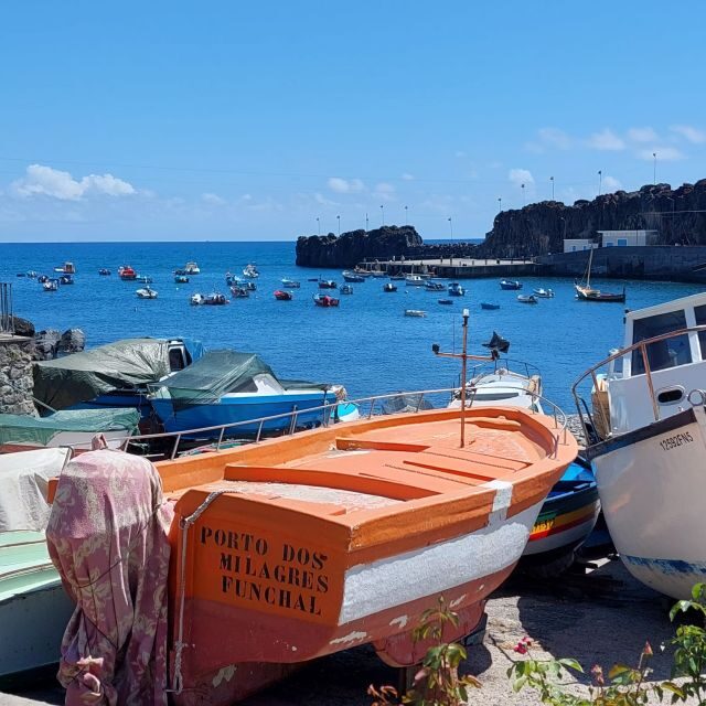 From Funchal: Eucalyptus Forest Guided 4x4 Tour - Is It Worth the Price?