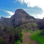 From Funchal: Machico to Porto da Cruz Larano Cliff Hike - The Experience with the Guides