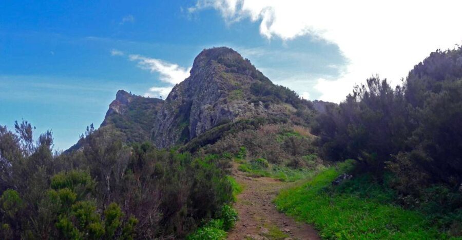From Funchal: Machico to Porto da Cruz Larano Cliff Hike - The Experience with the Guides