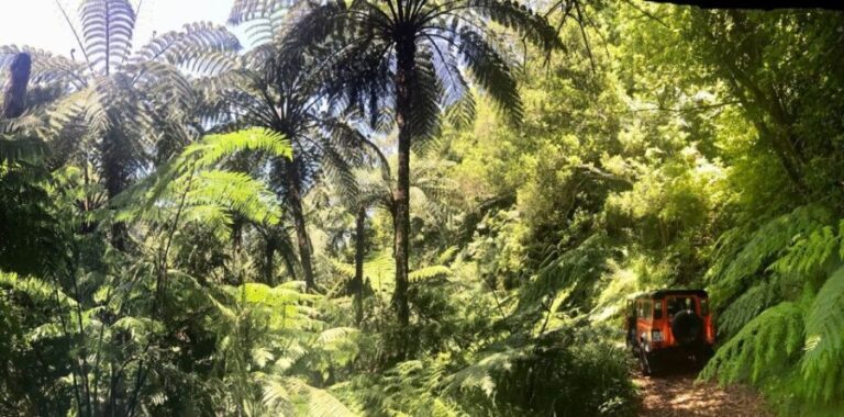 From Funchal: Madeira Island Private Jeep 4x4 Tour - What Makes This Tour Stand Out?