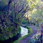 From Funchal: Madeira Lakes Levada Guided Hike - Who will love this tour?
