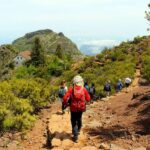 From Funchal: Madeira Peaks Mountain Walk - Who Is This Tour Best For?