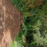 From Funchal: Pico Do Arieiro and Santana Full-Day 4x4 Tour - Transportation and Guides