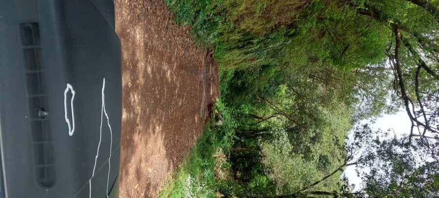 From Funchal: Pico Do Arieiro and Santana Full-Day 4x4 Tour - Transportation and Guides