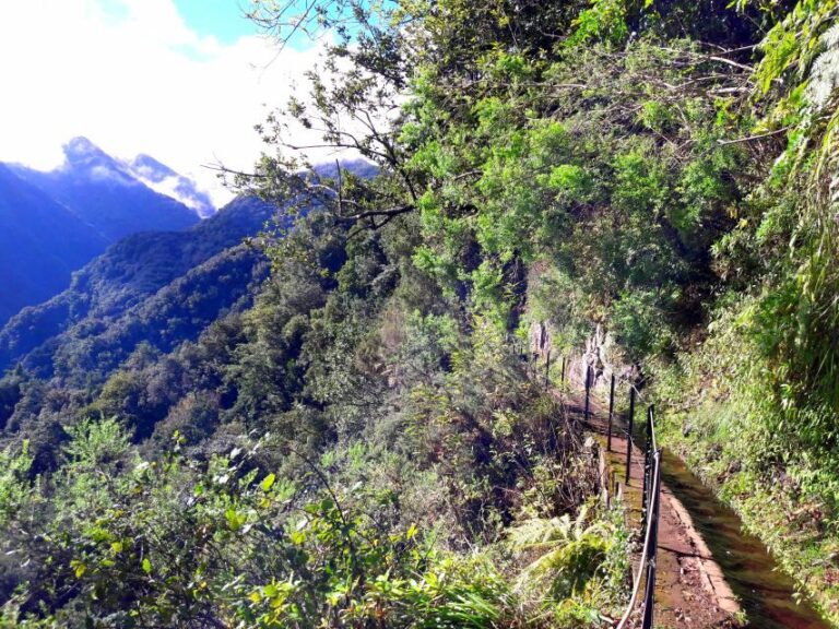From Funchal: São Jorge Valleys Levada Walk - Practical Details and Tips