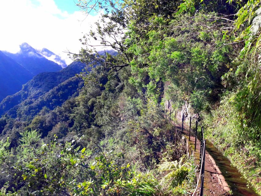 From Funchal: São Jorge Valleys Levada Walk - Practical Details and Tips