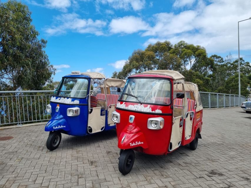 From Funchal: Tuk Tuk Tour to Camara de Lobos and Cabo Girao - How Good Is the Value?