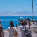 From Funchal: West Bays Sailing Tour with Lunch - Practical Details and Considerations
