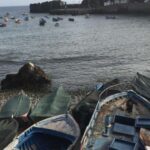 From Funchal: West Madeira and Laurel Forest Day Trip - Is This Tour Right for You?