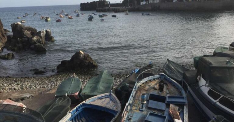 From Funchal: West Madeira and Laurel Forest Day Trip - Is This Tour Right for You?