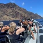 From Funchal: Whale and Dolphin Watching - What to Expect from the Tour