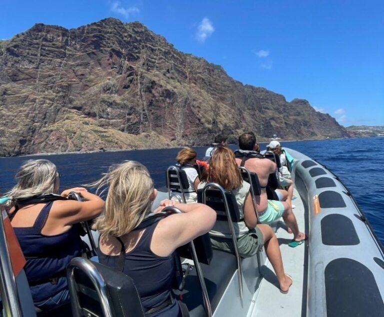 From Funchal: Whale and Dolphin Watching - What to Expect from the Tour