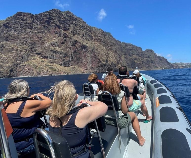 From Funchal: Whale and Dolphin Watching - What to Expect from the Tour
