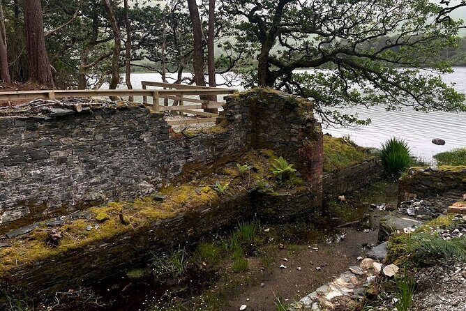 From Galway: Connemara, Kylemore Abbey & Castles 1 Day Tour - Who Should Consider This Tour?