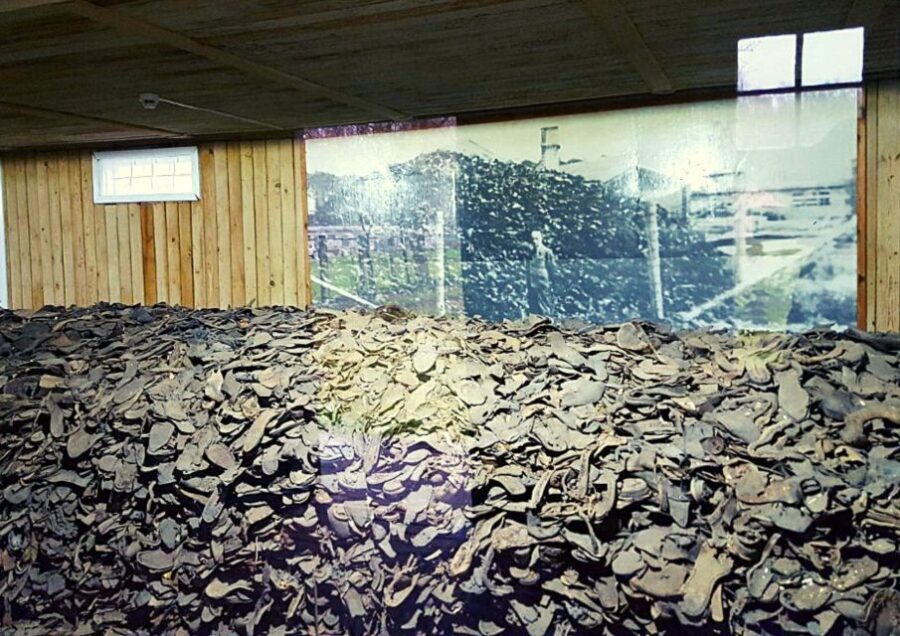 From Gdansk: Stutthof Concentration Camp Tour with Transfer - Who Would Love This Tour?