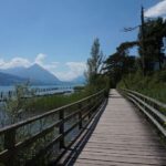 From Geneva: Full-Day Trip to Interlaken - The Return Journey