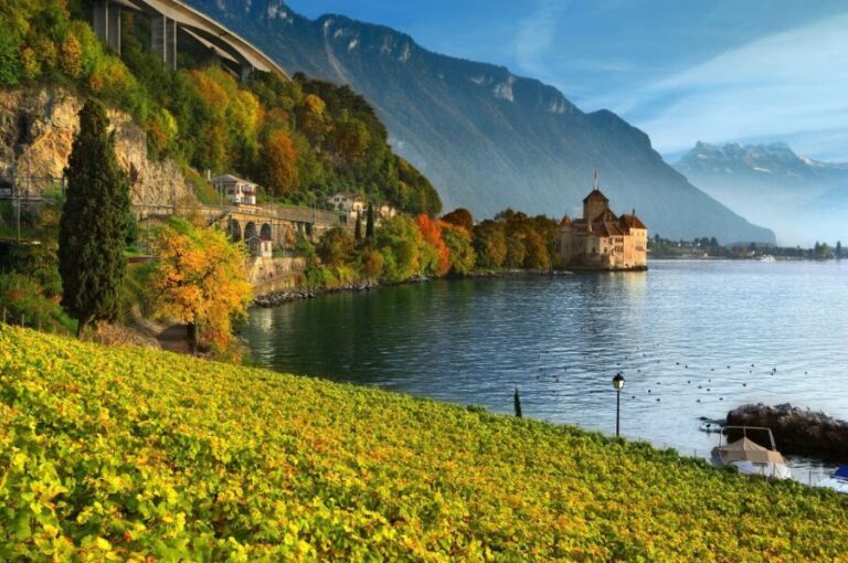 From Geneva: Swiss Riviera Private Tour - Price and Value