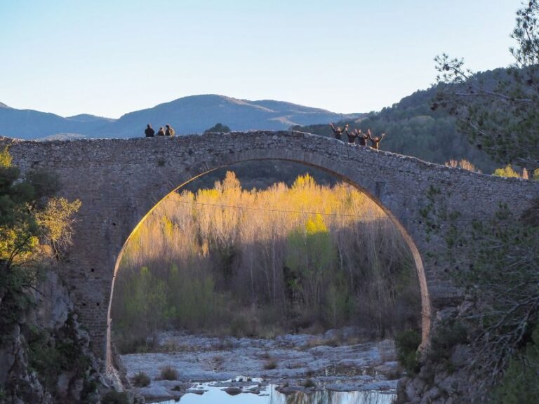 From Girona: Besalú, Banyoles & Historical Garrotxa Day Trip - What to Expect from the Tour