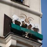 From Golden Age to Fall and Rebirth of Poland - What’s Included and Practicalities