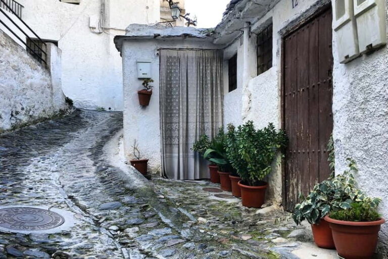 From Granada: Alpujarra Mountain Villages Tour - What to Expect on the Alpujarra Mountain Villages Tour