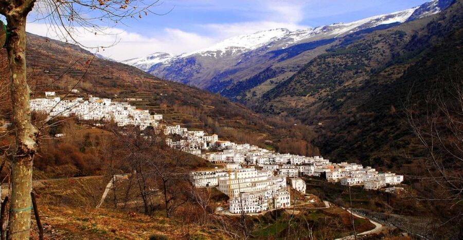 From Granada: Day Trip to Trevélez with Ham Factory - The Logistics and Value