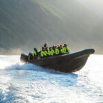 From Hellesylt: Experience Fjordsafari Geirangerfjord on RIB - The Experience in Detail