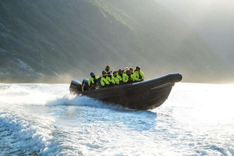From Hellesylt: Experience Fjordsafari Geirangerfjord on RIB - The Experience in Detail