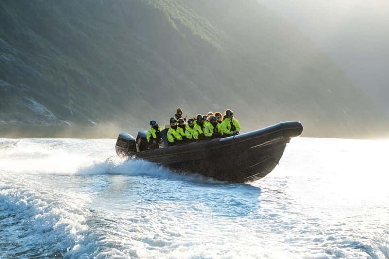 From Hellesylt: Experience Fjordsafari Geirangerfjord on RIB - The Experience in Detail