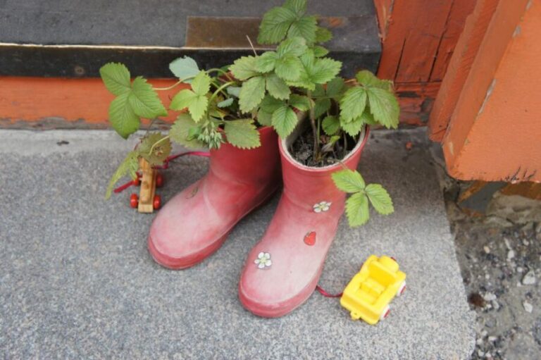 From Helsinki: Luxury Trip to Tallinn Ferry +VIP Car - Is It Worth the Cost?