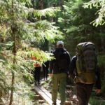 From Helsinki: Mushroom Hunting Tour in a National Park - Value for Money and Practical Details