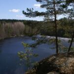 From Helsinki: Nuuksio National Park Half-Day Trip - The Itinerary in Detail