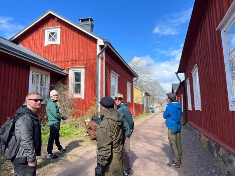 From Helsinki: Raasepori Castle Ruins & Ekenäs Old Town - Exploring Raasepori Castle Ruins