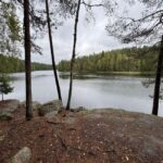 From Helsinki: Small Group Guided Hike & Lunch in Nuuksio NP - Who Is This Tour Perfect For?