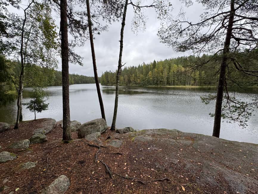 From Helsinki: Small Group Guided Hike & Lunch in Nuuksio NP - Who Is This Tour Perfect For?