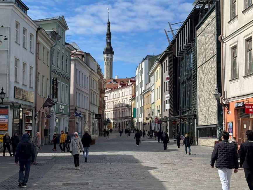 From Helsinki: Tallinn Guided Day-Trip incl. Ferry & Dinner - The Value of the Tour