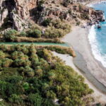 From Herakleion: Day Trip to Preveli Palm River Beach - The Overall Experience and Value