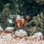 From Heraklion: Imbros Gorge Private Tour - Summary: Is It Worth It?