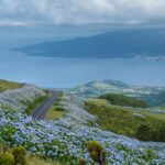 From Horta: Guided Faial Island Tour - Starting Point and Logistics