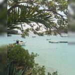 From Hvar: Pakleni Islands Private Boat Tour - Who Will Love This Tour?