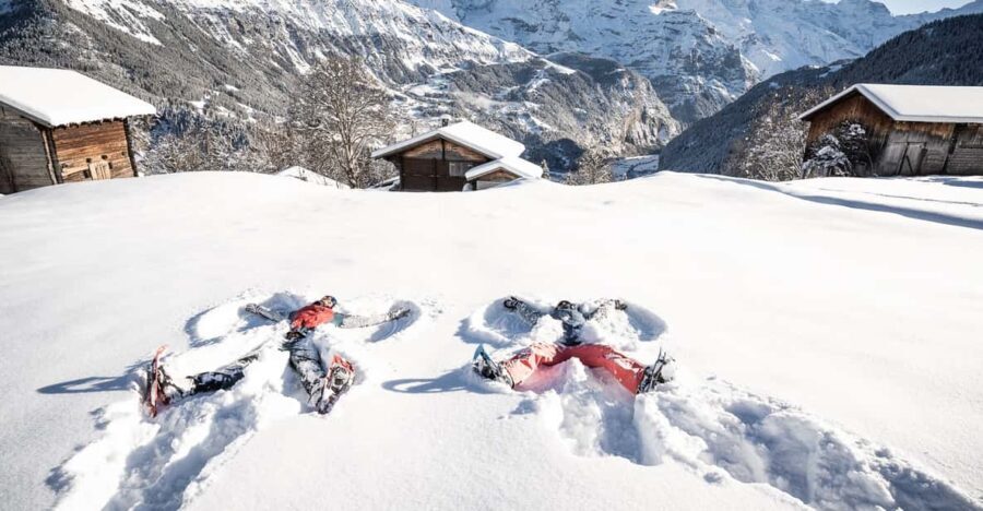 From Interlaken: Guided Snowshoe Tour - The Guided Aspect and Group Size