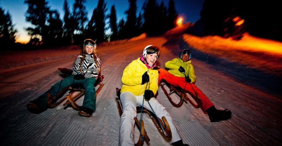 From Interlaken: Night Sledding - What Is Night Sledding in the Swiss Alps All About?