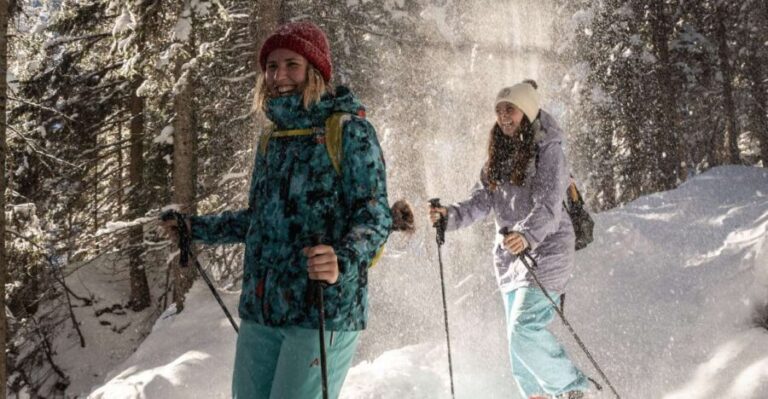 From Interlaken: Wetterhorn Trail Snowshoe Hiking Tour - The Scenery and Views