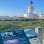 From Inverness: Black Isle Tour with Dolphin Spotting - Practical Tips and Honest Insights