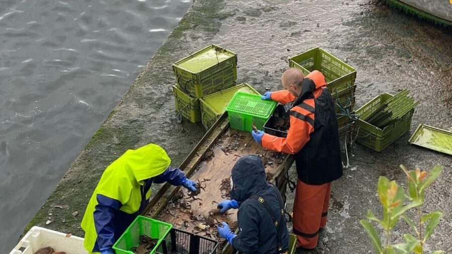 From Inverness: Isle of Skye & Eilean Donan Castle Day Tour - Who Is This Tour Best For?